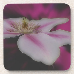 Porta-copo Flor De Clematis Branco E Rosa