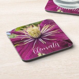 Porta-copo Flor de Clematite Roxa