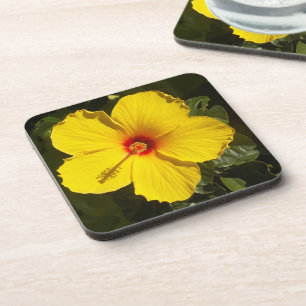 Porta-copo Flor de Hibiscus Amarelo