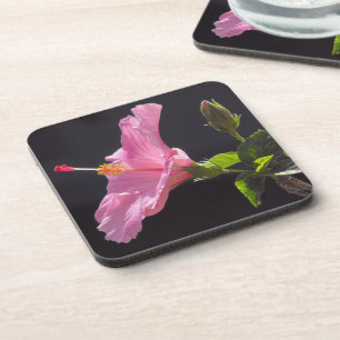 Porta-copo Flor de Hibiscus em Perfil