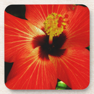 Porta-copo Flor de Hibiscus Vermelho Brilhante