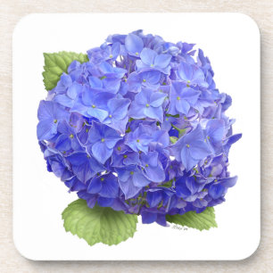 Porta-copo Flor de Hydrangea Azul