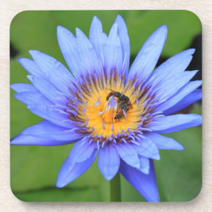 Porta-copo Flor de lótus