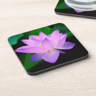 Porta-copo Flor de Lótus Elegante