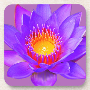 Porta-copo Flor de Lótus Violeta