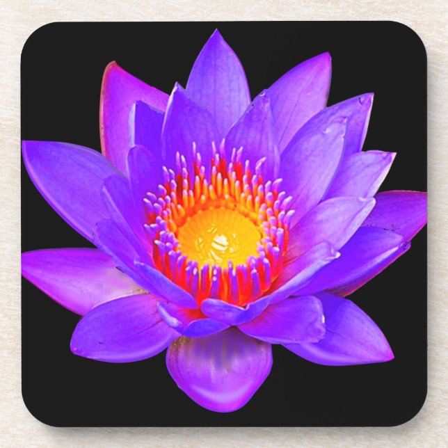 Porta-copo Flor de Lótus Violeta em Preto (Frente)