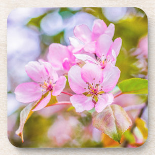 Porta-copo Flor de Maçã Rosa
