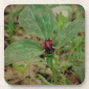 Porta-copo Flor de trilho