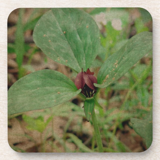 Porta-copo Flor de trilho (Frente)