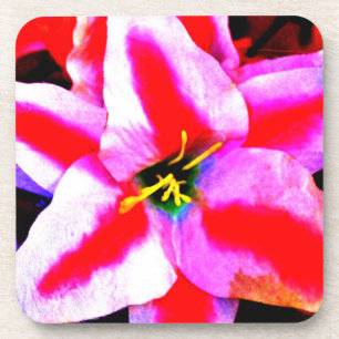 Porta-copo Flor Hibiscus