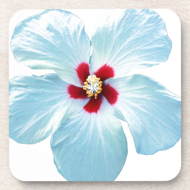Porta-copo Flor Hibiscus Havaiana (Frente)