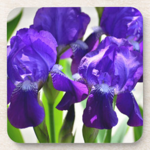 Porta-copo Flor Iris Roxo