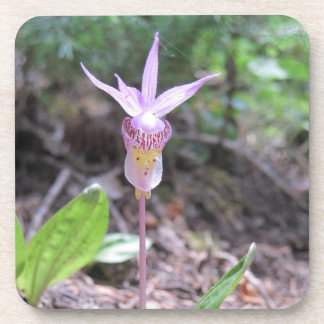 Porta-copo Flor Orquídea Fairyslipper