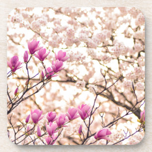Porta-copo Flor-Primavera de-Magnolias Púrpuras, cor-de-rosa,