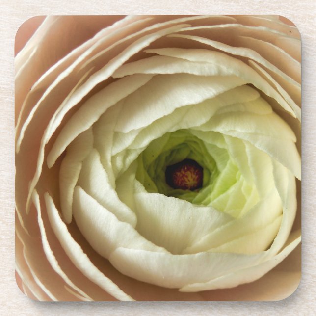 Porta-copo Flor Ranunculus (Frente)