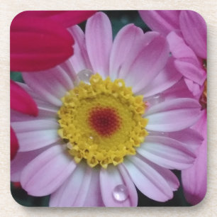 Porta-copo Flor rosa e amarela