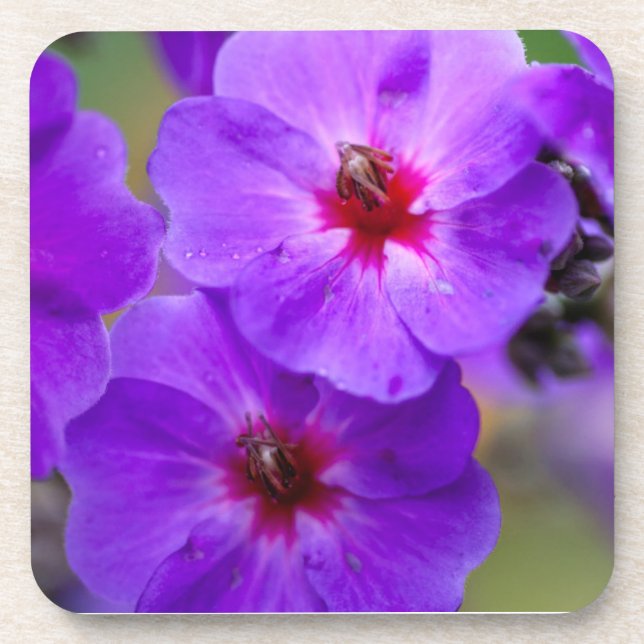 Porta-copo Flor roxa (Frente)