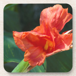 Porta-copo Flor vermelha