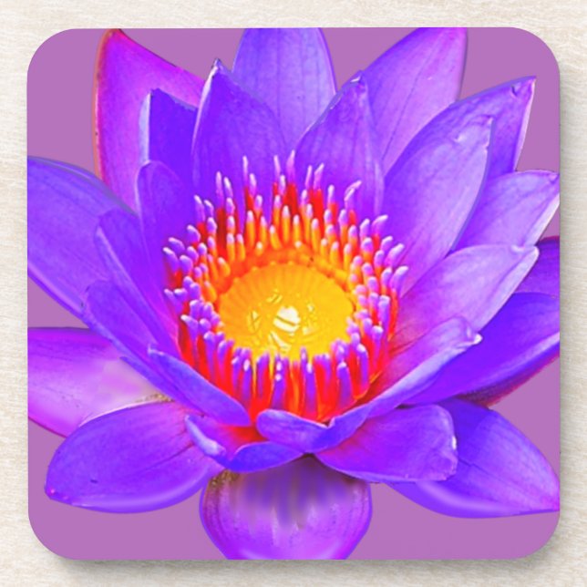 Porta-copo Flor Violet Lotus (Frente)