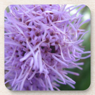 Porta-copo Flor Violeta Tentacle Spider