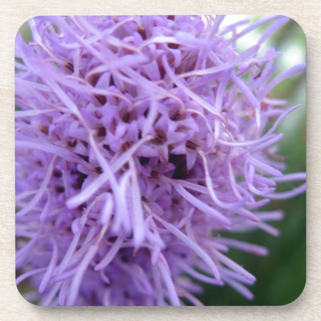 Porta-copo Flor Violeta Tentacle Spider (Frente)