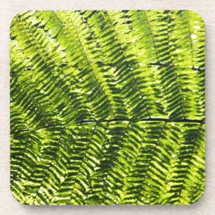 Porta-copo Flora Dominica 5