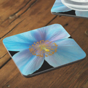 Porta-copo Floral Azul de Himalaia