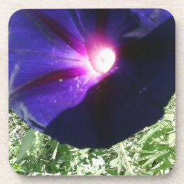 Porta-copo Floral bonito