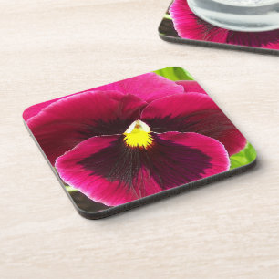 Porta-copo Floral bonito Purple Pansy