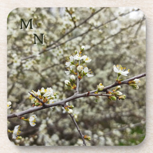 Porta-copo Floral Branco Elegante da Primavera Personalizado