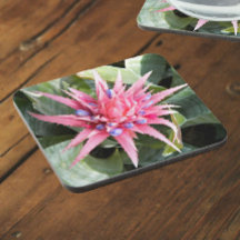 Floral de Sangue de Planta de Vaso Silver