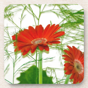 Porta-copo Floral vermelho