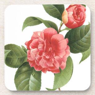 Porta-copo Floral Vintage, Flores de Camélia Rosa por Redoute