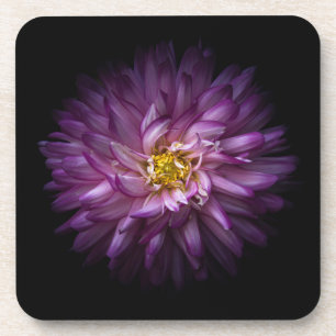 Porta-copo Flores 20