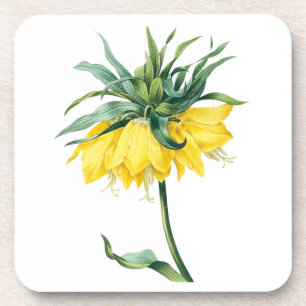 Porta-copo Flores: A002 Coroa de Kaiser -