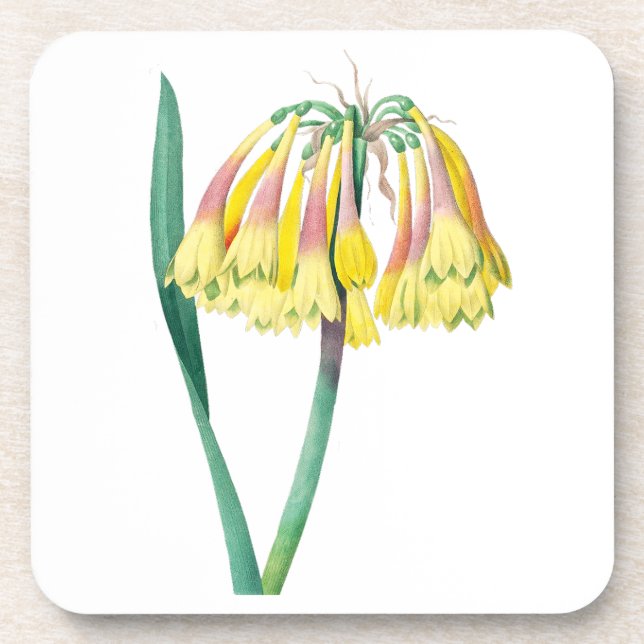 Porta-copo Flores: A003 Planta Antica - (Frente)