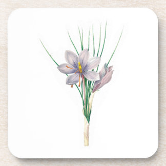 Porta-copo Flores: A007 Autumn Crocus -