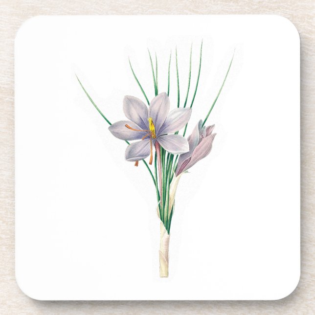 Porta-copo Flores: A007 Autumn Crocus - (Frente)