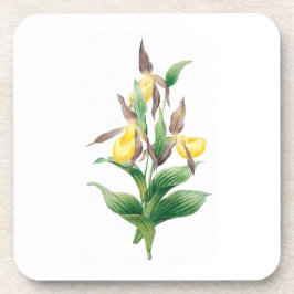 Porta-copo Flores: A011 Yellow Lady Slipper -