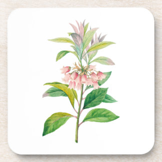 Porta-copo Flores: A013 Red Enkianthus -