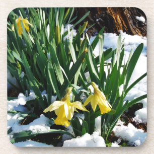 Porta-copo Flores amarelas Daffodils na neve