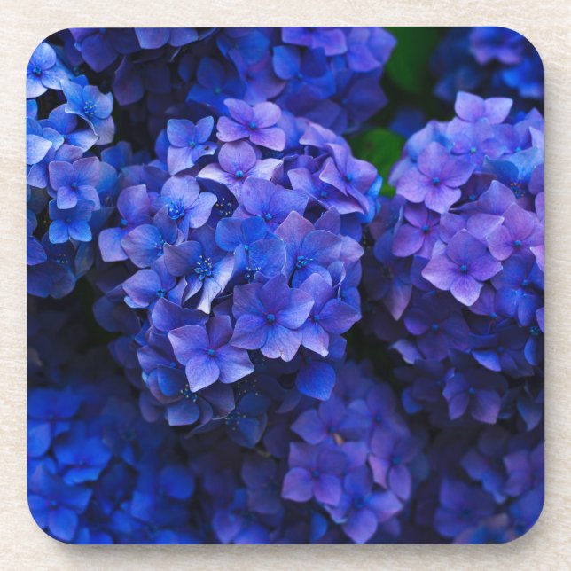 Porta-copo flores azuis (Frente)