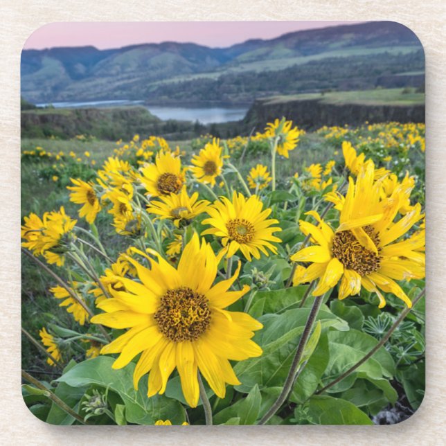 Porta-copo Flores | Balsomroot Columbia River, Oregon (Frente)