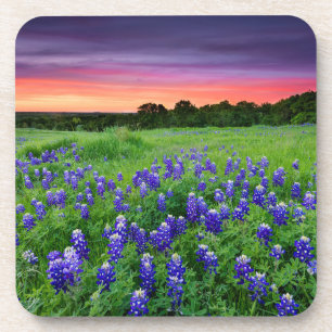 Porta-copo Flores Bluetooth no Texas Sunset