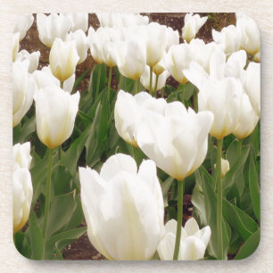 Porta-copo Flores Brancas