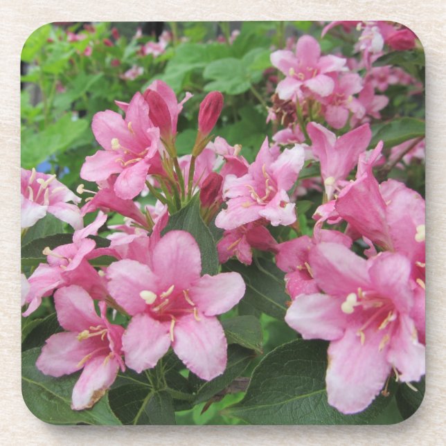 Porta-copo Flores Cor-de-Rosa da Alemanha (Frente)
