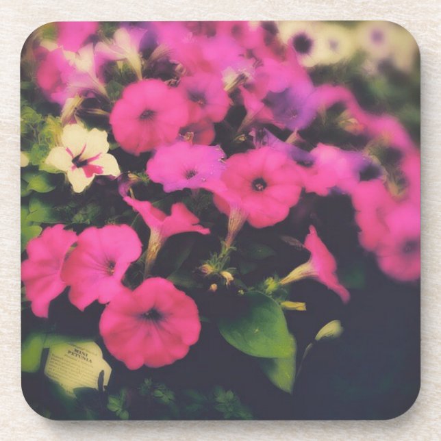 Porta-copo Flores da Grocery Store (Frente)