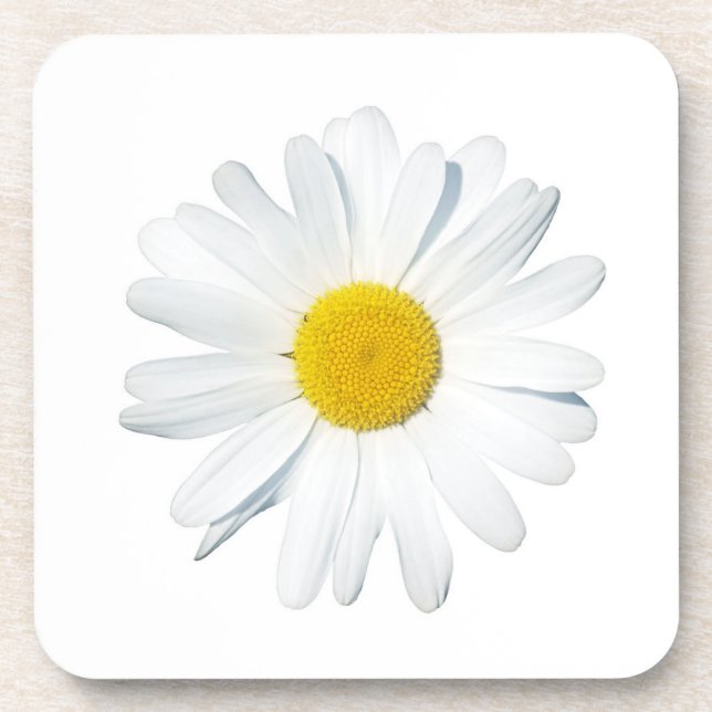 Porta-copo Flores | Daisy Solteiro (Frente)
