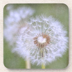 Porta-copo Flores Dandelion