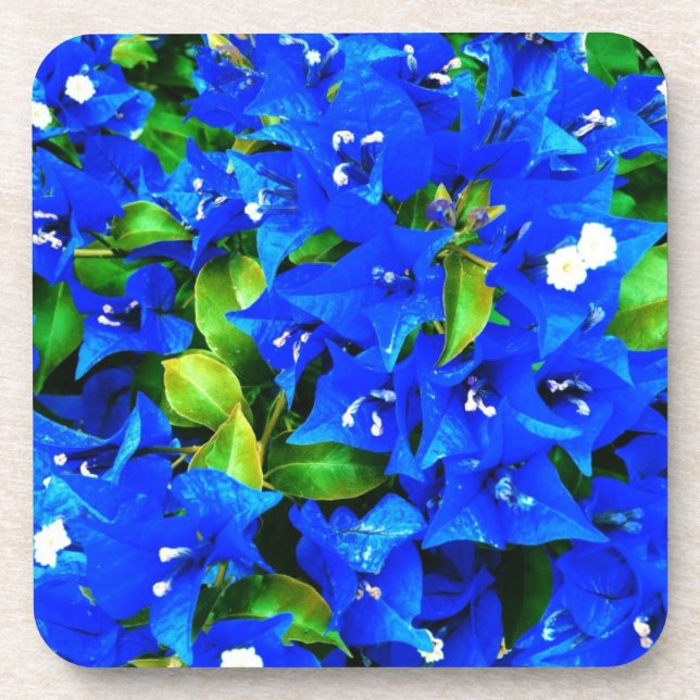 Porta-copo Flores de Bougainvillea Azul Vibrantes (Frente)